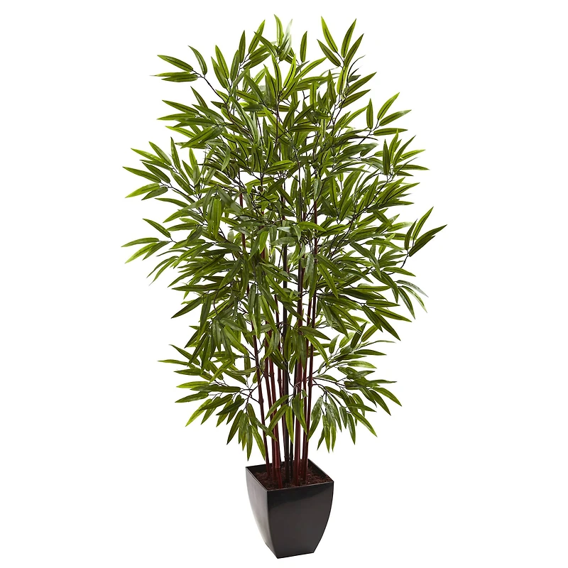 5ft. Potted Bamboo Silk Tree