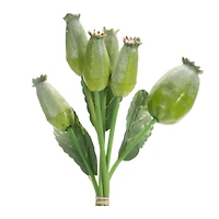 9.5" Green Poppy Pod Foliage Bundles, 6ct.