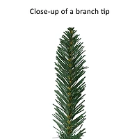 4ft. Pre-Lit Santa Tree, Clear Lights