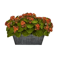 14in. Orange Kalanchoe Plant in Black Embossed Planter