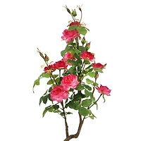 3ft. Potted Pink Rose Tree by Ashland®