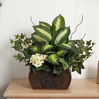 20" African Violet, Dumb Cane & Ivy in Decorative Chest