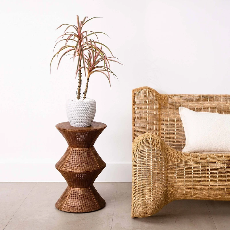 2ft. Potted Dracaena Marginata Plant