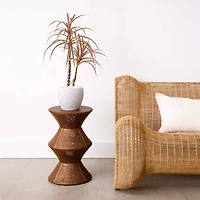 2ft. Potted Dracaena Marginata Plant