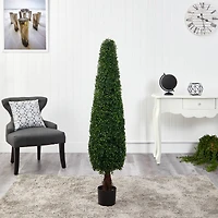 5ft. Potted Boxwood Cone Topiary Tree