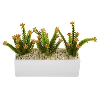 Flowering Sedum in Rectangular Planter