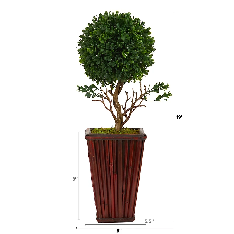 19" Boxwood Topiary Tree in Red Planter