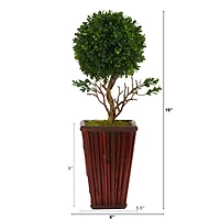 19" Boxwood Topiary Tree in Red Planter