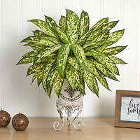 24" Aglaonema with White Metal Planter