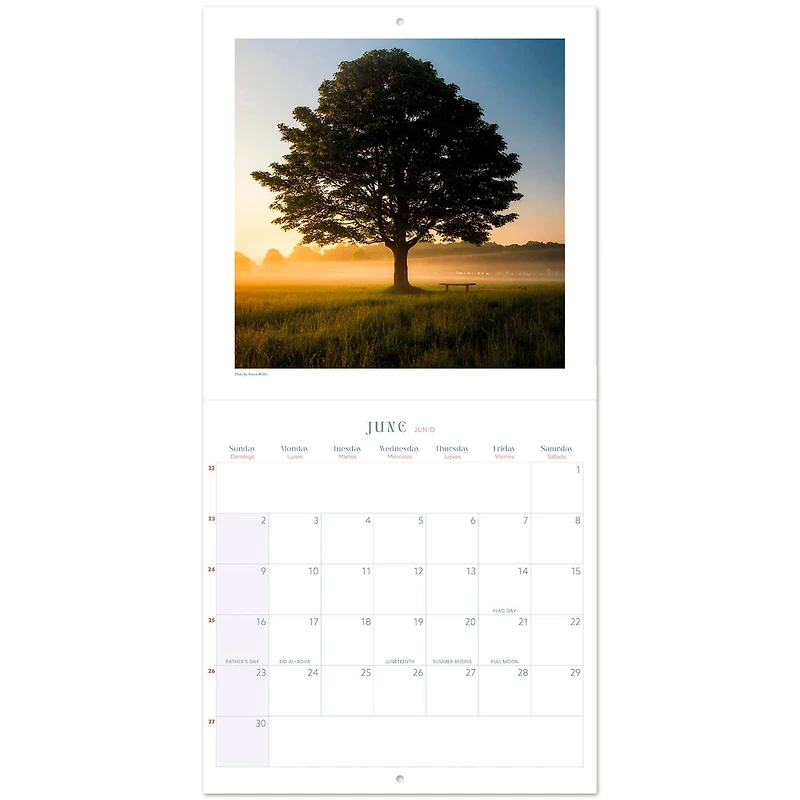 TF Publishing 2024 Zen Nature Bilingual Wall Calendar