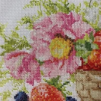 Alisa Strawberries Cross Stitch Kit