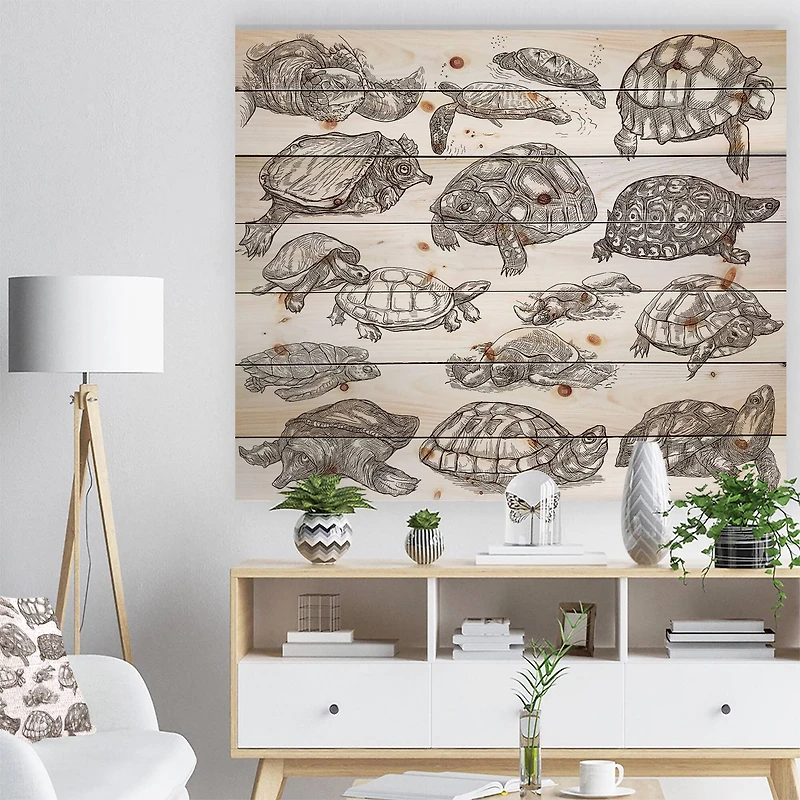 Designart - Turtles in Freehand sketching