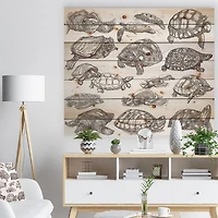 Designart - Turtles in Freehand sketching