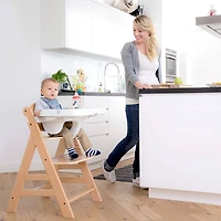 Hauck 3-in-1 Table Alpha Tray & 5-Point Harness Set