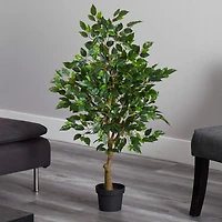 3.25ft. Potted Ficus Tree