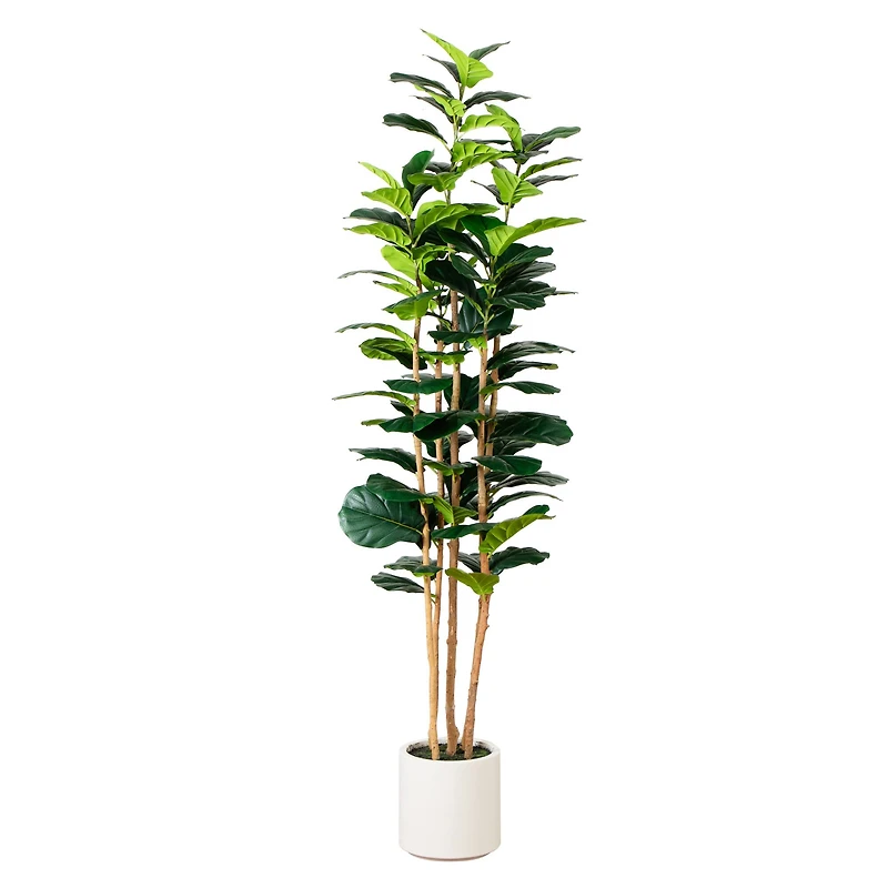 7ft. Fiddle Leaf Tree in Decorative White Planter