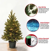 4 ft. Pre-Lit Feel Real® Jersey Fraser Fir Artificial Christmas Tree In Growers Pot, Warm White LED Lights