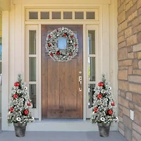 3ft. Pre-Lit Potted Snowy Bristle Pine Artificial Christmas Tree, Warm White LED Lights