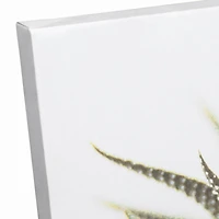 Designs Direct Aloe Plant Canvas Wall Art