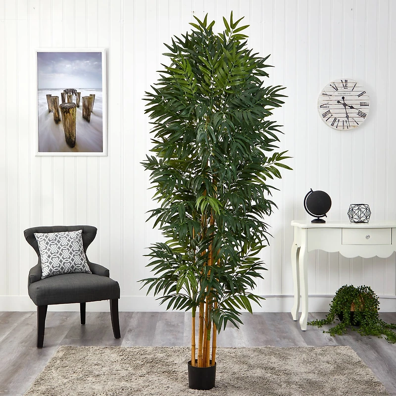 6.5ft. Phoenix Palm Tree with Natural Trunk