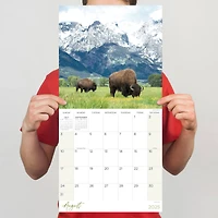 TF Publishing 2025 Wild Wall Calendar