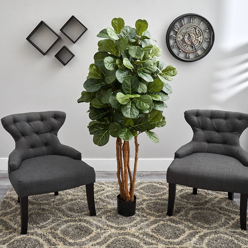 5ft. Potted Fiddle Leaf Fig Tree