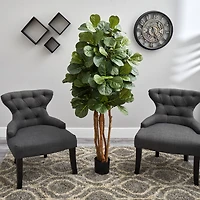 5ft. Potted Fiddle Leaf Fig Tree