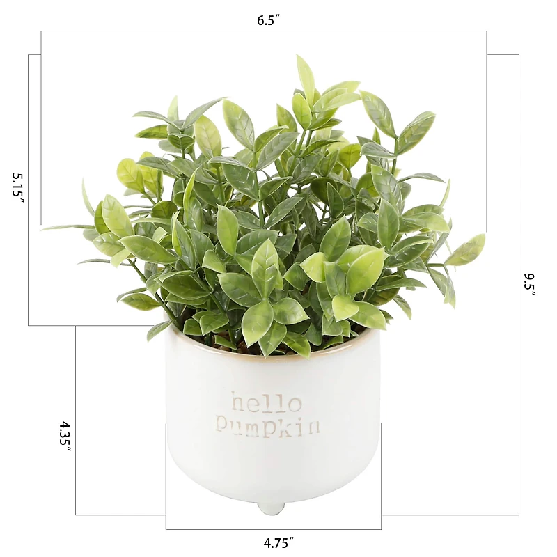 Flora Bunda® Tea Leaf in Hello Pumpkin Ceramic Footed Pot