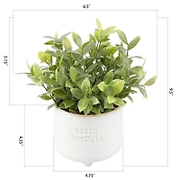 Flora Bunda® Tea Leaf in Hello Pumpkin Ceramic Footed Pot