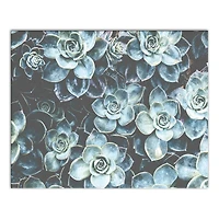 Grouping Of Succulents 20" x 16" Canvas Wall Art