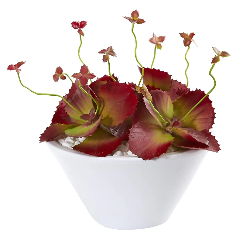 8" Burgundy Succulent Artificial Plant in White Bowl