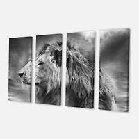 Designart - Grey Wild African Lion