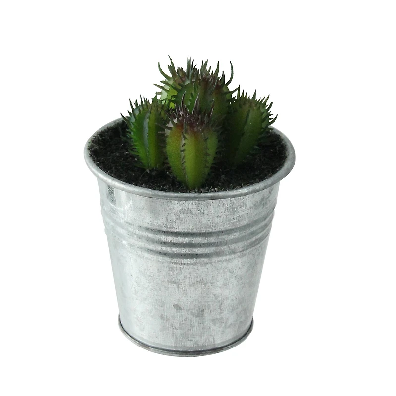 3.5" Green Mini Cactus Plants in Tin Pot