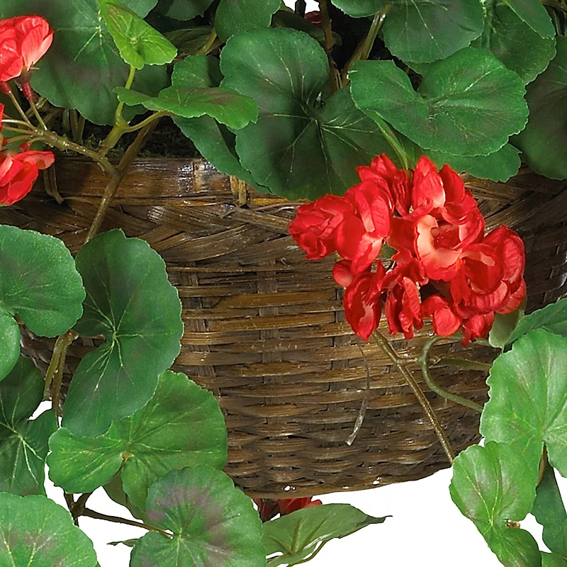 24" Red Geranium in Hanging Basket