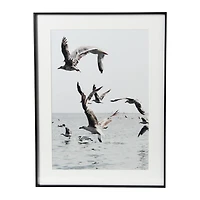 Hello Honey® Framed Seagulls in Flight Photo Print