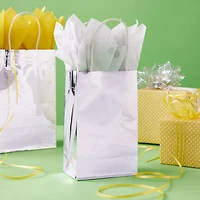 Silver Gift Bag Value Pack by Celebrate It