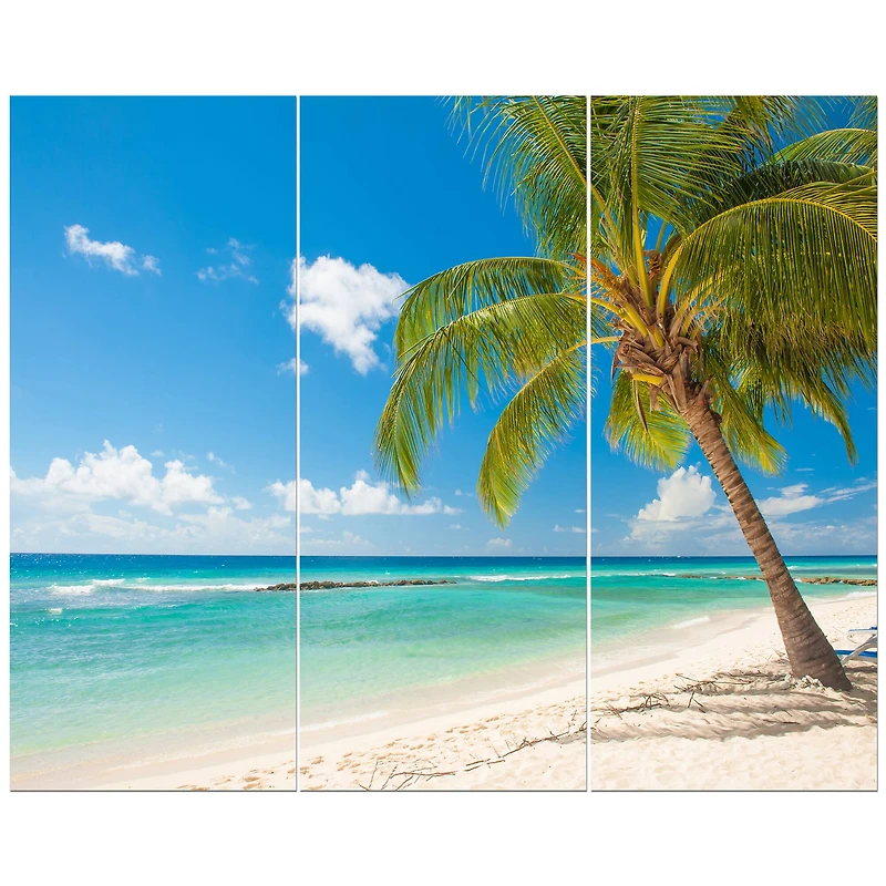 Designart - Palm tree over white sand