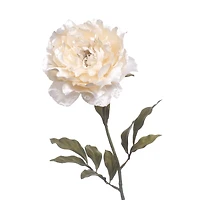 Cream Peony Stem with Pearl by Ashland®