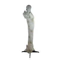 5ft. Pre-Lit White & Brown Animated Mummy with Glowing Eyes Halloween Décor