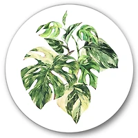 Designart - Tropical Green Leaves In Summer Times I