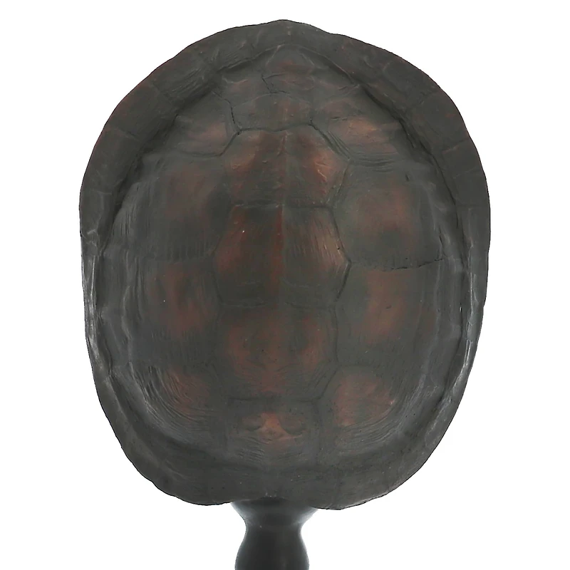 Turtle Shell Tabletop Accent by Ashland