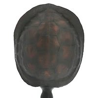 Turtle Shell Tabletop Accent by Ashland