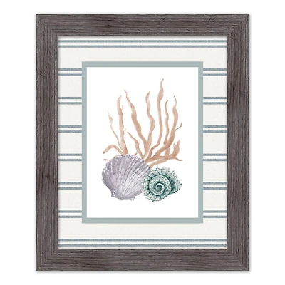 Scallop & Snail Shell Western Framed Print
