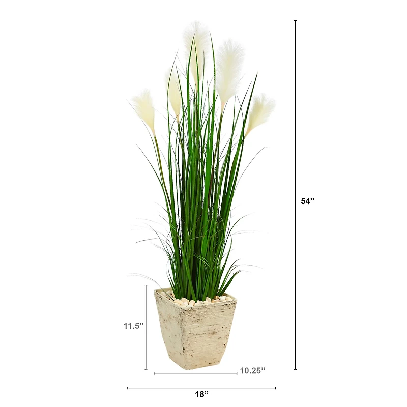 4.5ft. Wheat Plume Grass Plant in Country White Planter