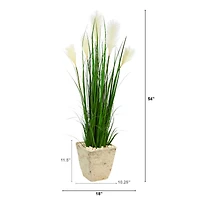4.5ft. Wheat Plume Grass Plant in Country White Planter
