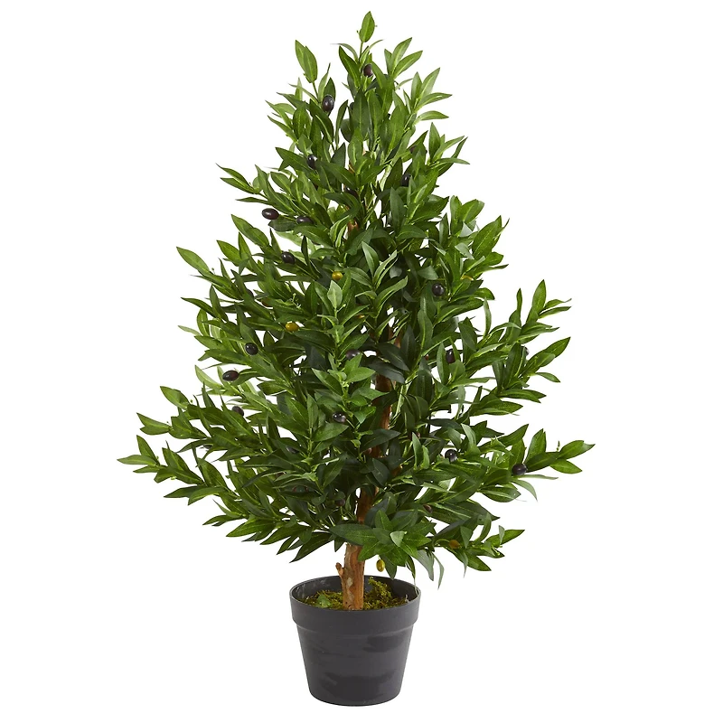 3ft. Potted Olive Cone Topiary Tree