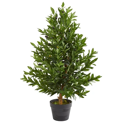 3ft. Potted Olive Cone Topiary Tree