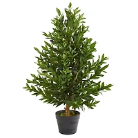 3ft. Potted Olive Cone Topiary Tree