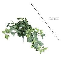 13" Hanging Fittonia UV Bush by Ashland®