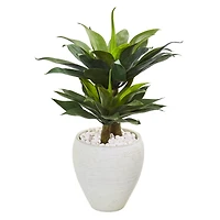 3ft. Double Agave Succulent Plant in White Planter